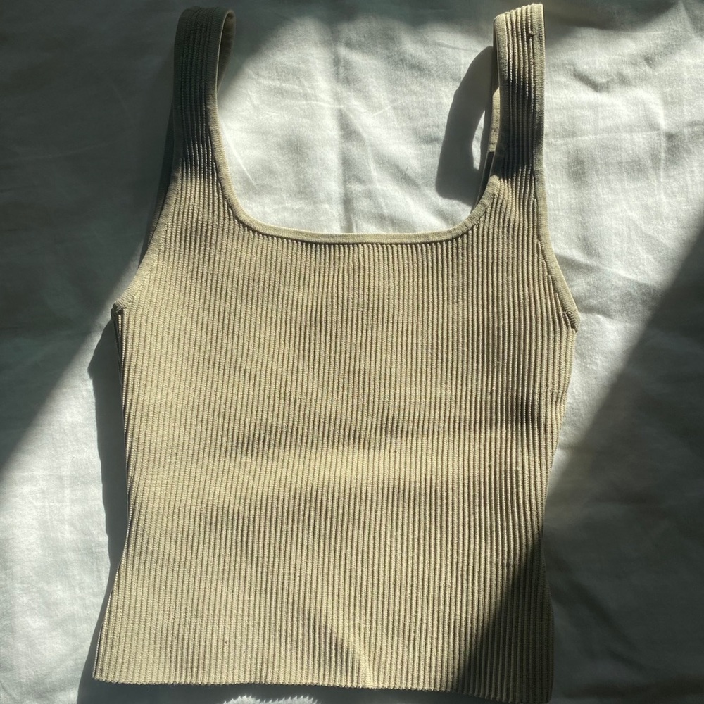 Babaton aritzia EUC ribbed tank